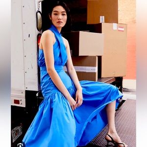 Veronica Beard Radley Dress